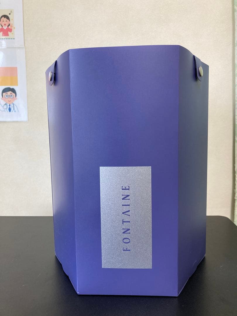 【専用】FONTAINE レディースウィッグ　フォンテーヌ