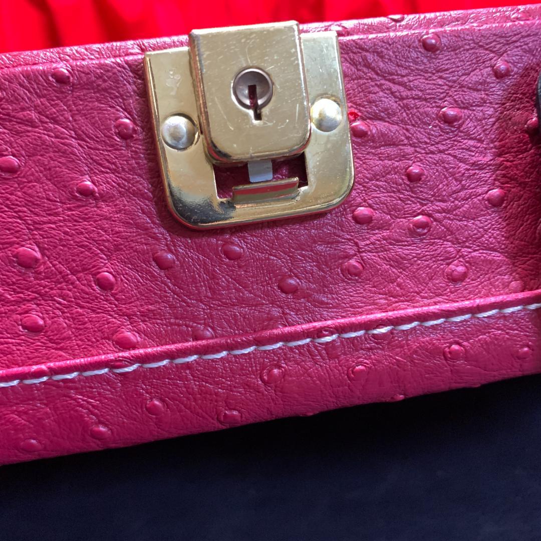 三味線 蛇皮線 木製 赤いケース付き