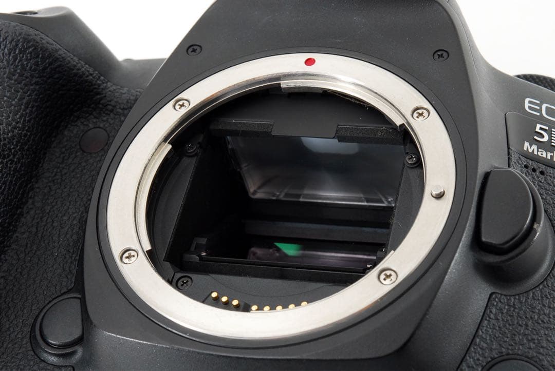 CANON EOS 5D MARK IV標準&望遠ダブルレンズセット