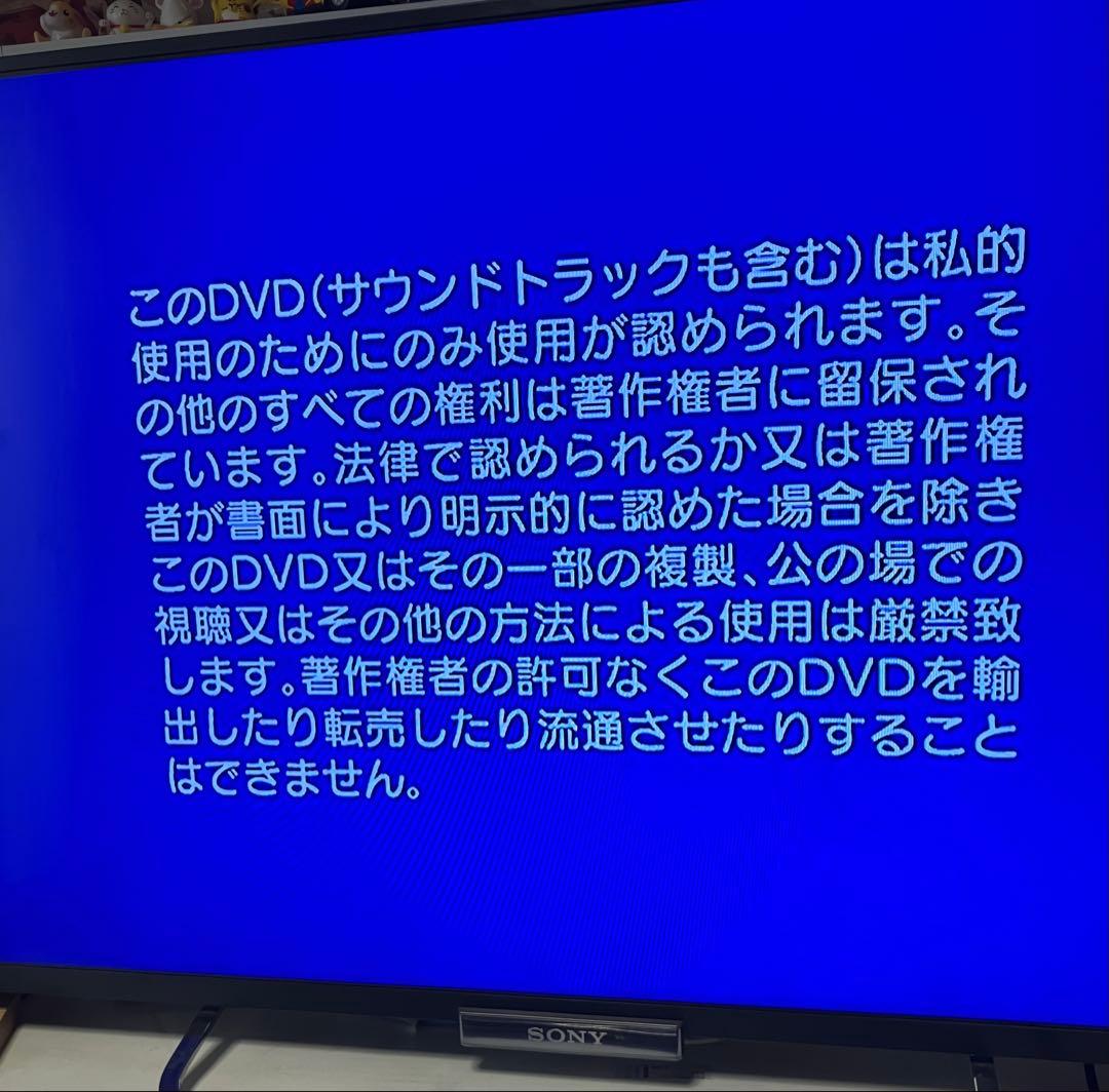 Pioneer HDD内蔵DVDプレーヤー/レコーダーDVR-DT95