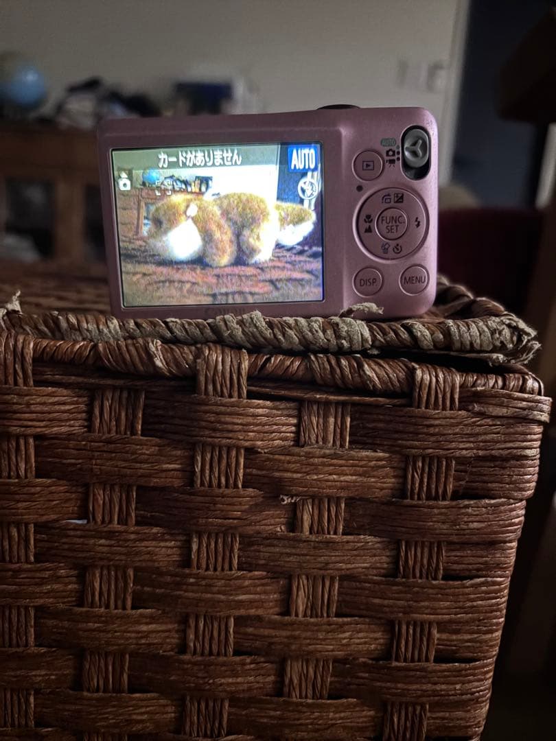 Canon IXY 320 ピンク 本体と付属品