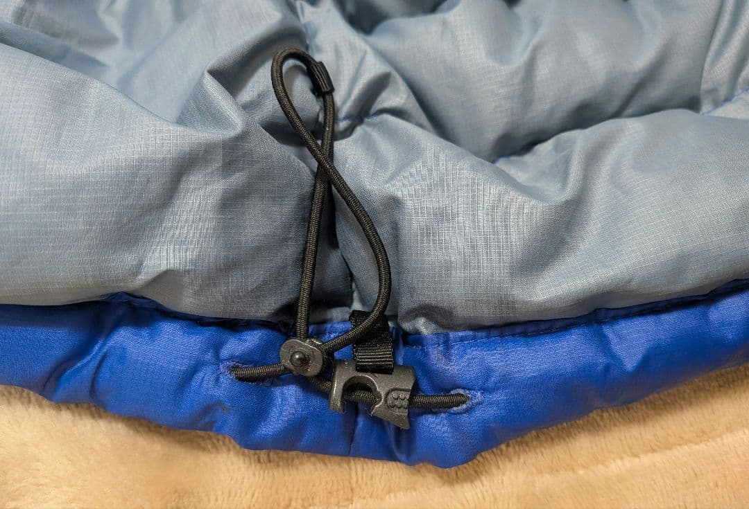 Patagonia Down Sweater Vest ロイヤルブルー