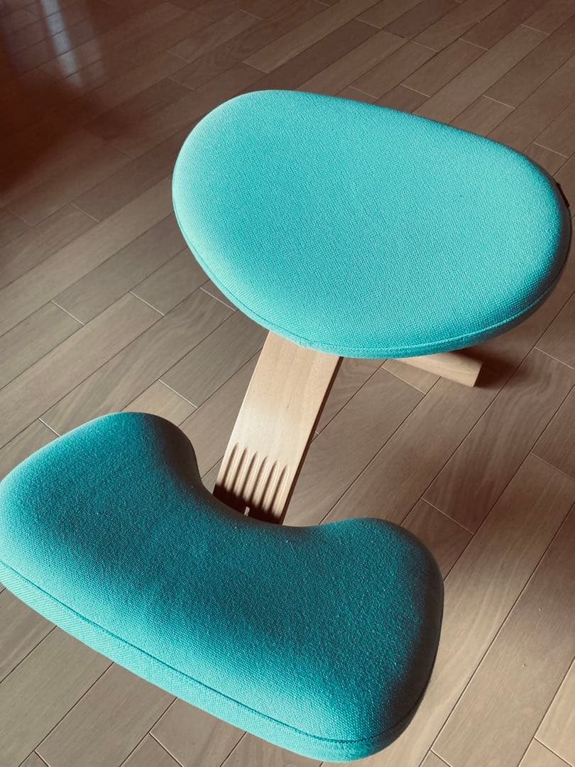 バランスチェア イージー ライトグリーン バランスラボ(旧サカモトハウス)