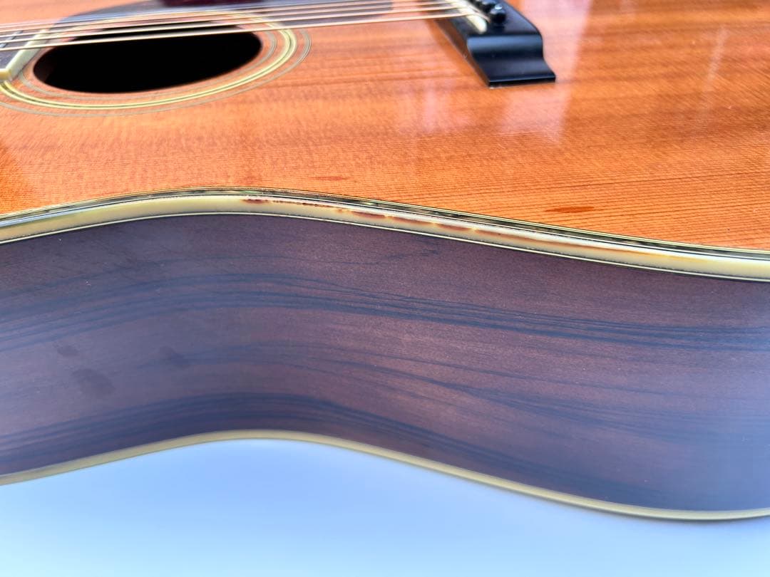 Morris TF-50アコースティックギター