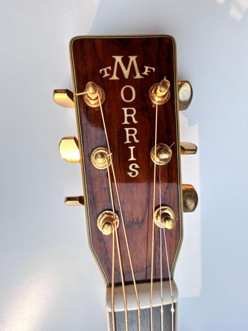Morris TF-50アコースティックギター