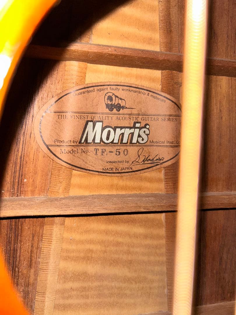 Morris TF-50アコースティックギター
