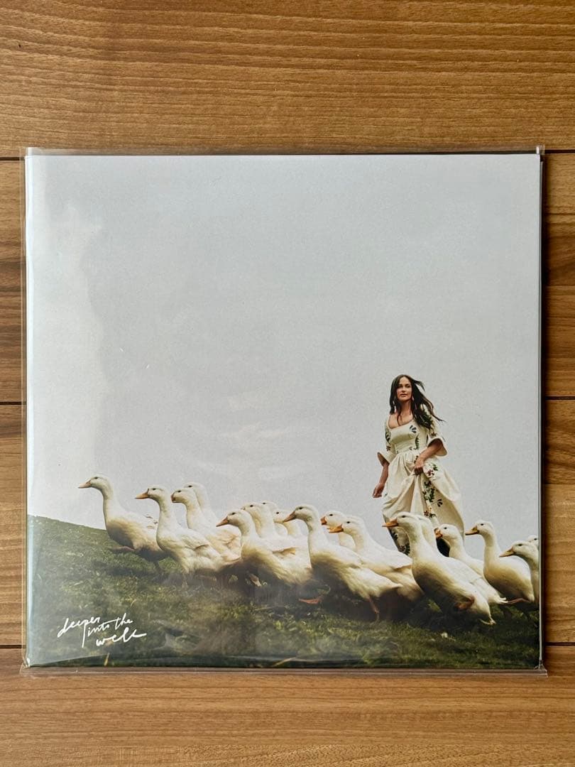 新品 液体入り Deeper Into The Well レコード