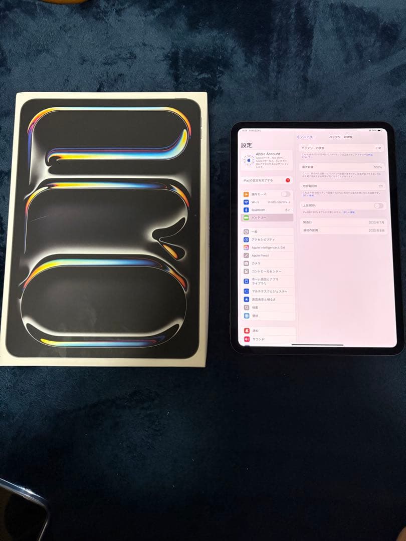 iPad Pro 11 M4 256GB スペースグレー