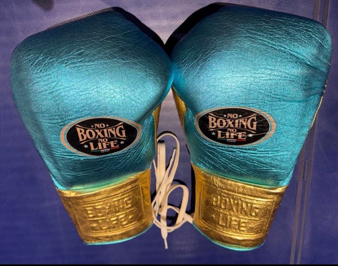 ノーボクシングノーライフ ボクシンググローブ16オンス