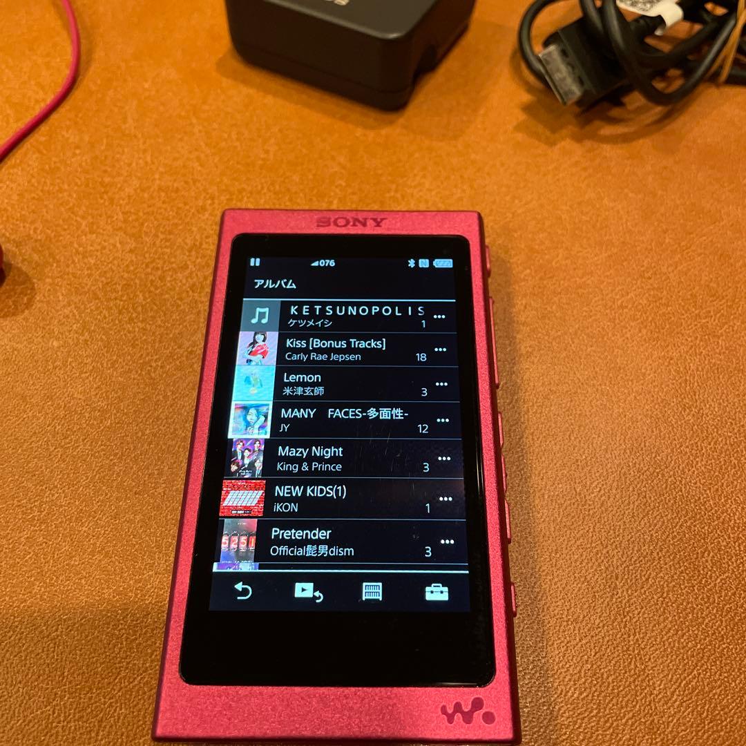 SONY NW-A35 デジタルオーディオプレーヤーケース付き動作正常