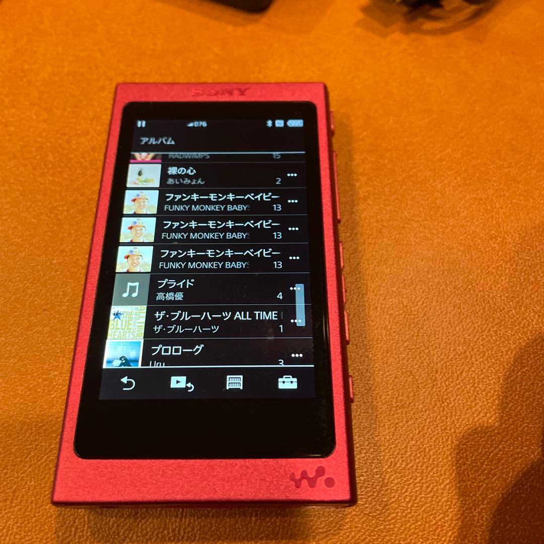SONY NW-A35 デジタルオーディオプレーヤーケース付き動作正常