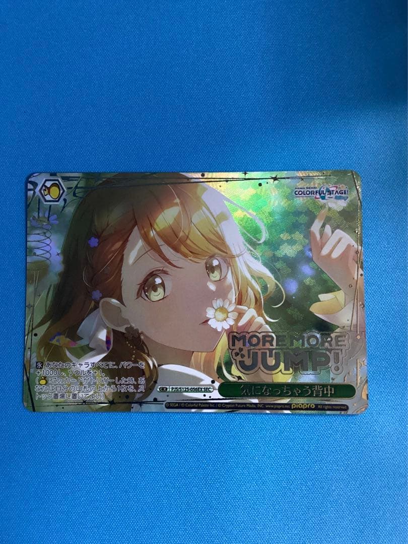 WS 気になっちゃう背中 SEC