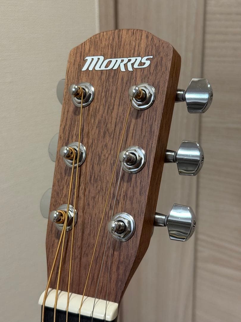 ギター Morris LA-011 MH NAT