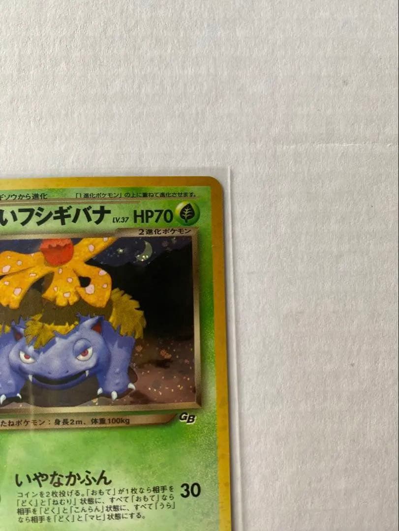 【旧裏ポケカ/プロモカード】わるいフシギバナ&わるいフシギソウ