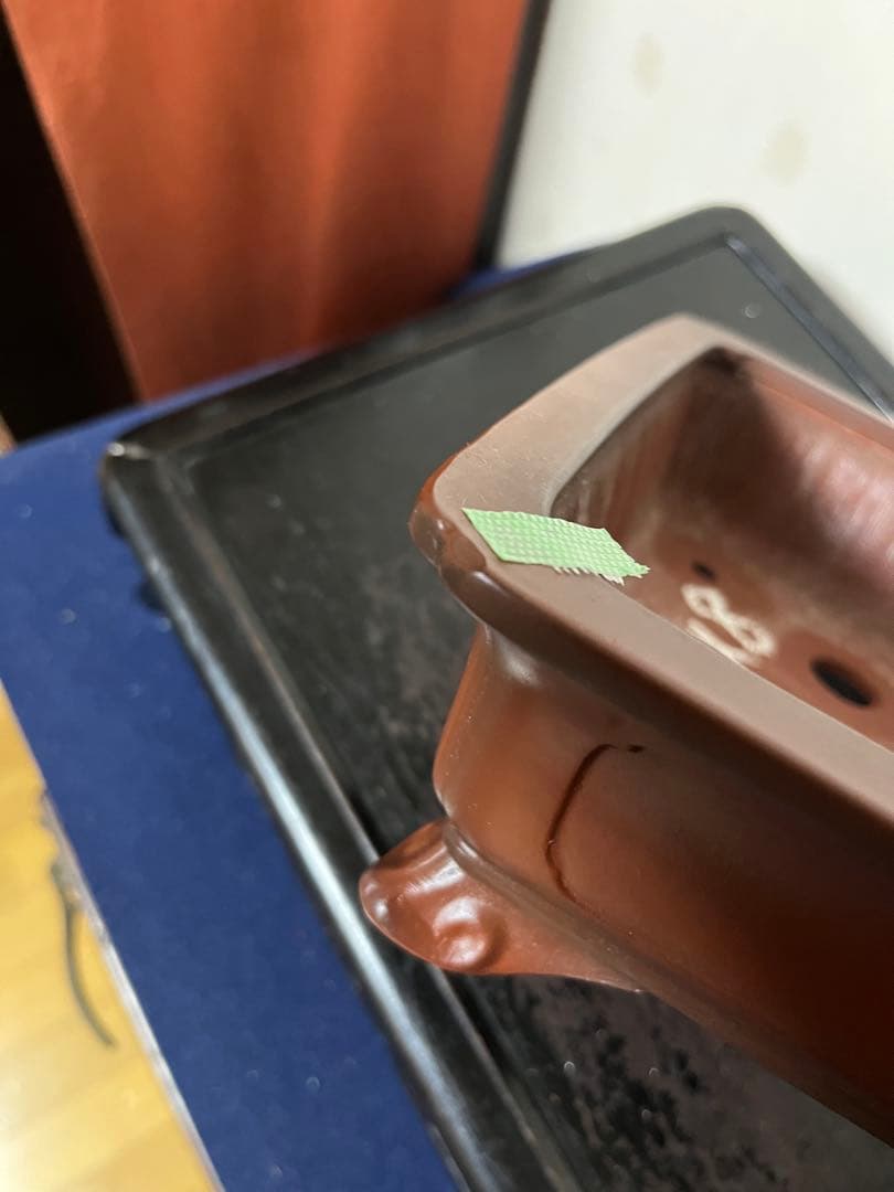 485 盆栽　盆栽鉢　植木鉢　和鉢　美芸