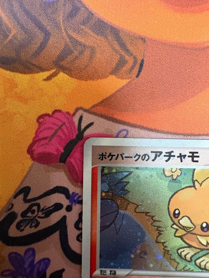 ポケパークのアチャモ　ポケモンパークプレミアムファイル　002/009