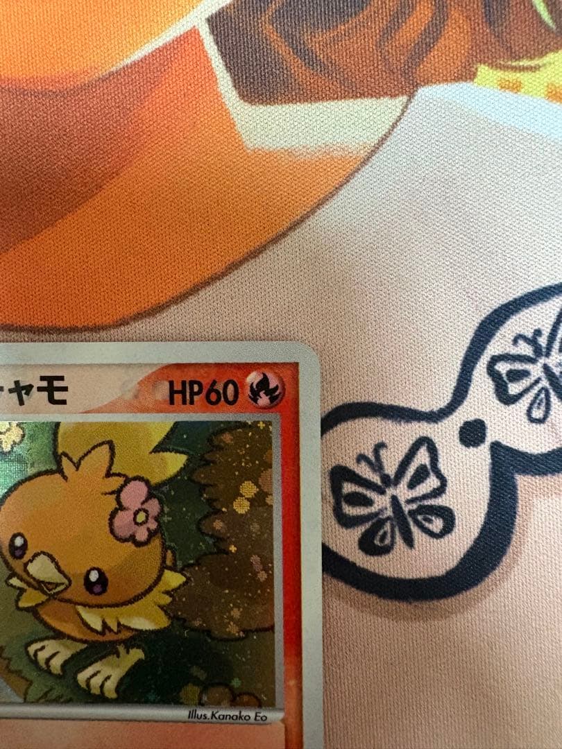 ポケパークのアチャモ　ポケモンパークプレミアムファイル　002/009