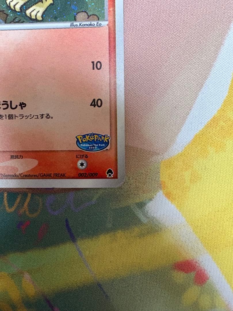 ポケパークのアチャモ　ポケモンパークプレミアムファイル　002/009