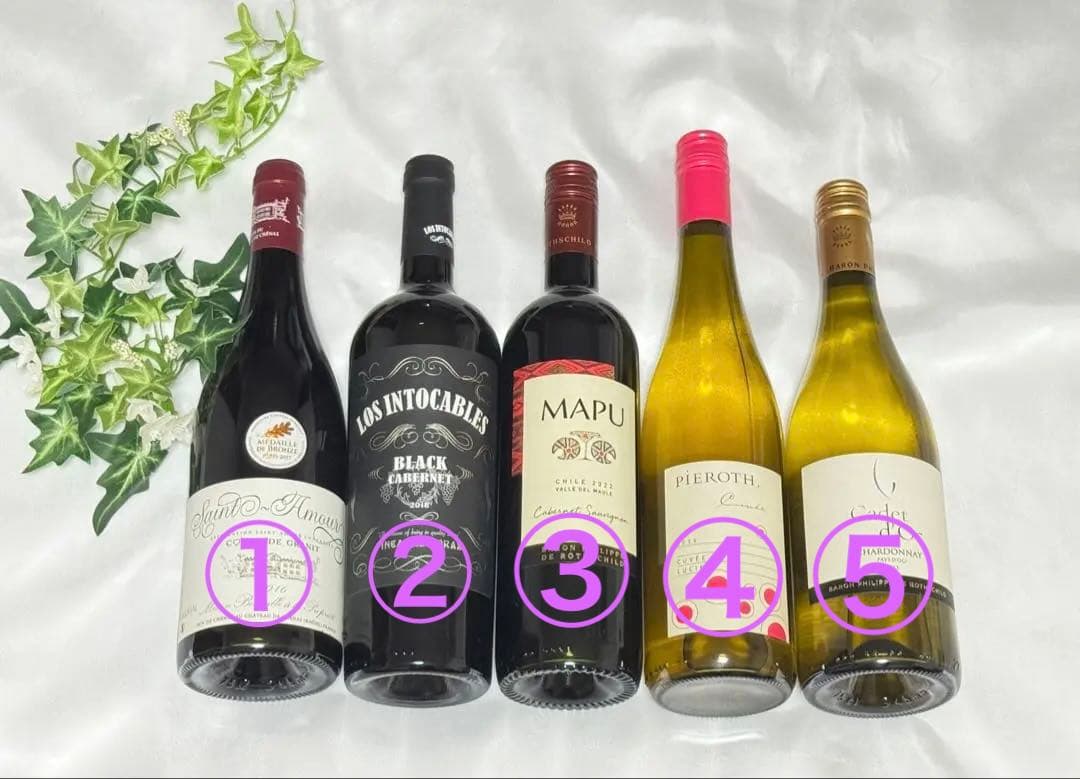 【お得】飲みやすいワインセット！　入手困難⁈なワイン含め赤３本・白２本のセット