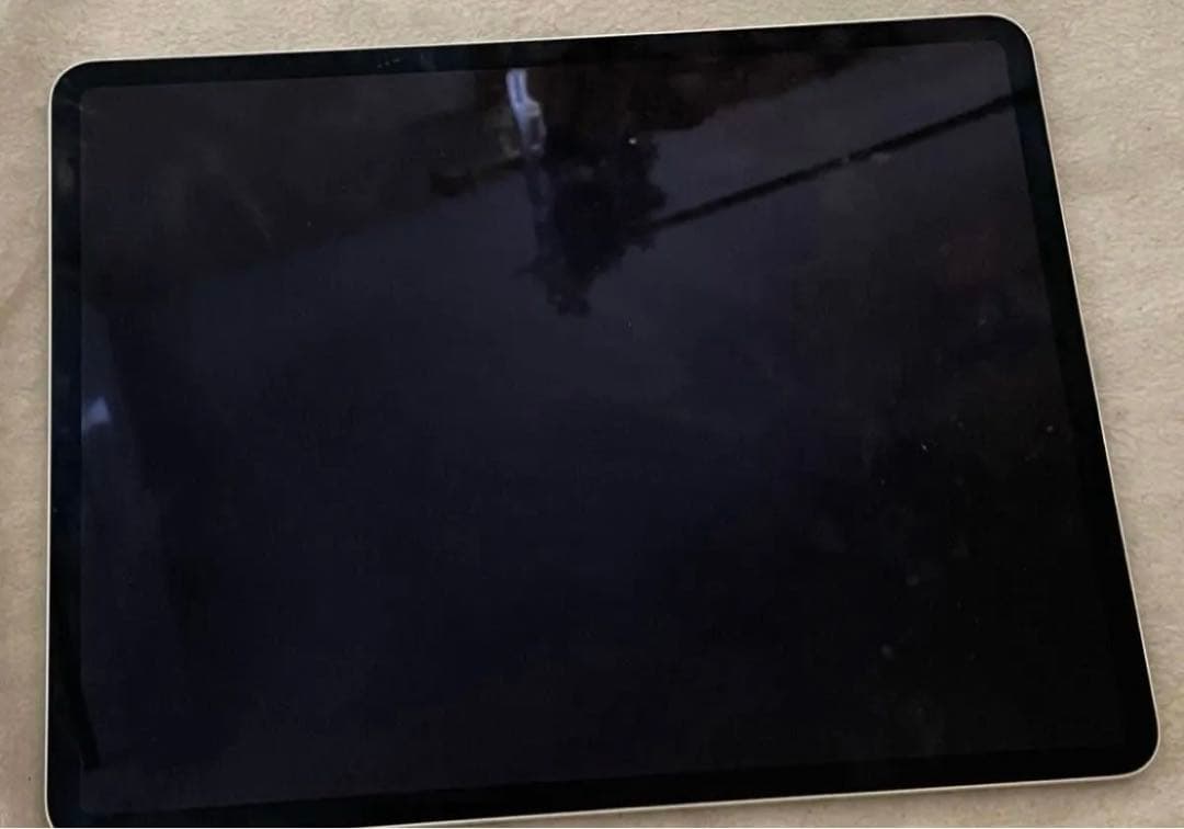 iPad Pro 12.9 第3世代 2018 Wi-Fi 512 GB