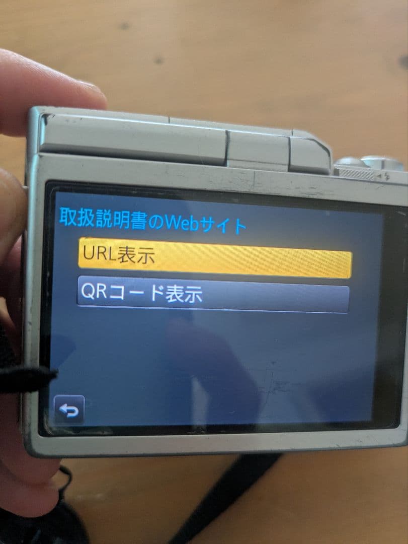 値下げ！Panasonic LUMIX DC-GF10 デジタルカメラ本体充電器
