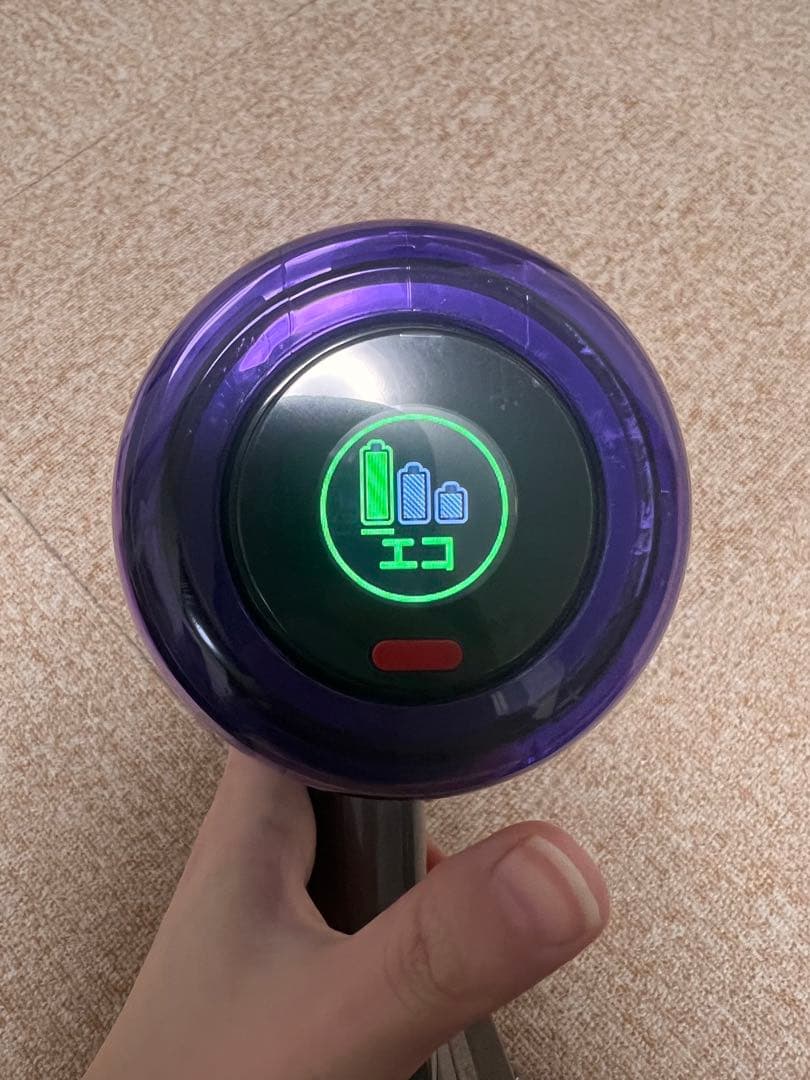 ダイソン 掃除機 V12 Detect Slim Fluffy