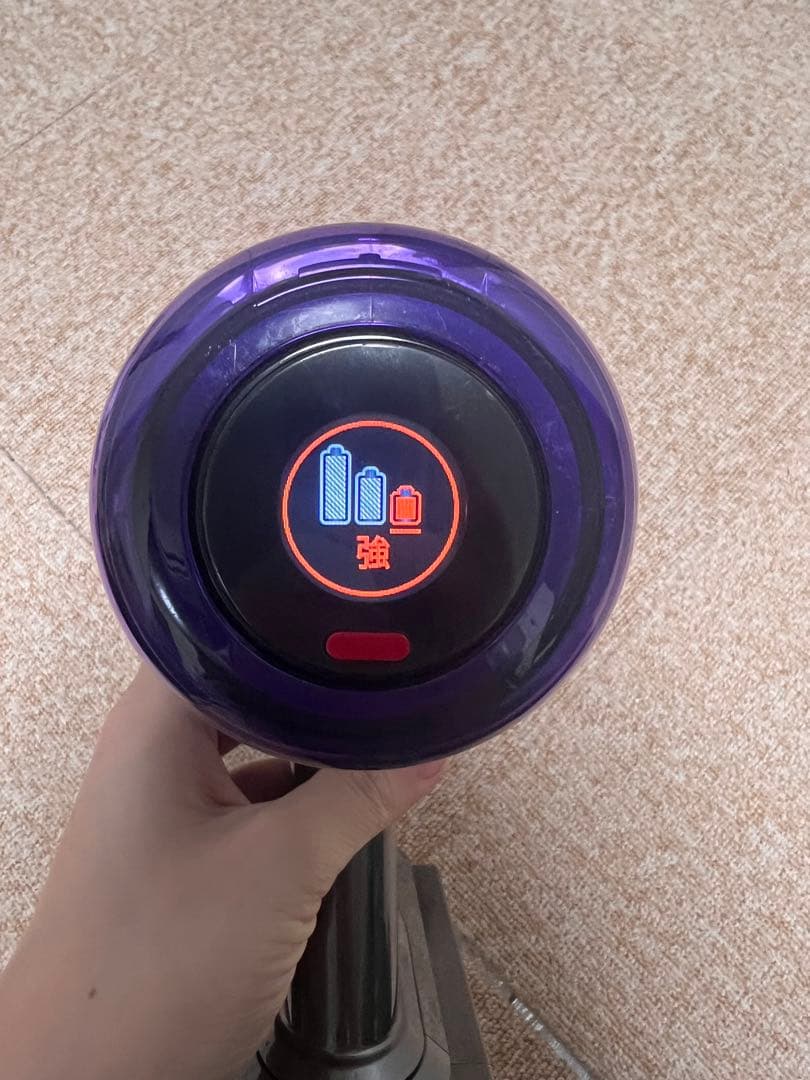 ダイソン 掃除機 V12 Detect Slim Fluffy