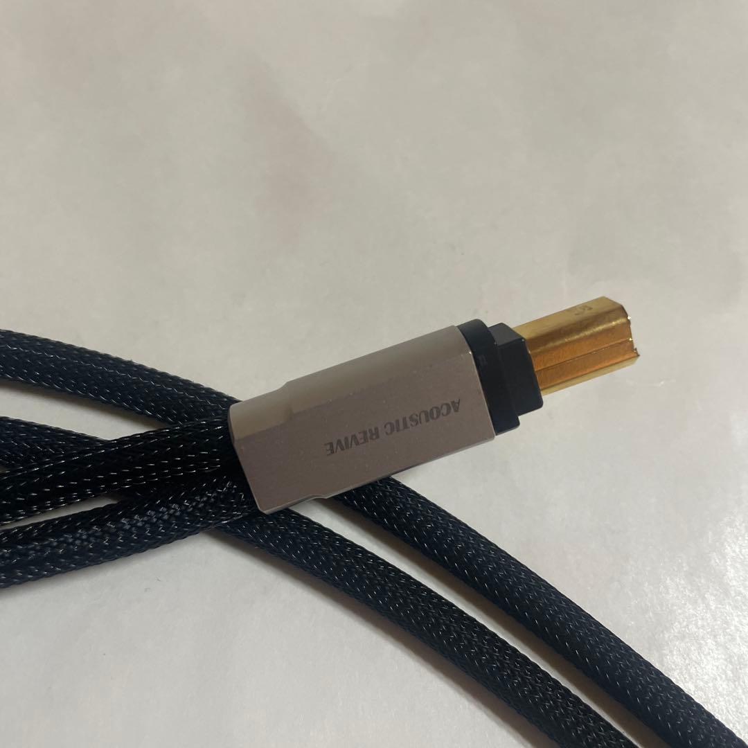 アコースティックリバイブ USB-1.0PLS1m中古日