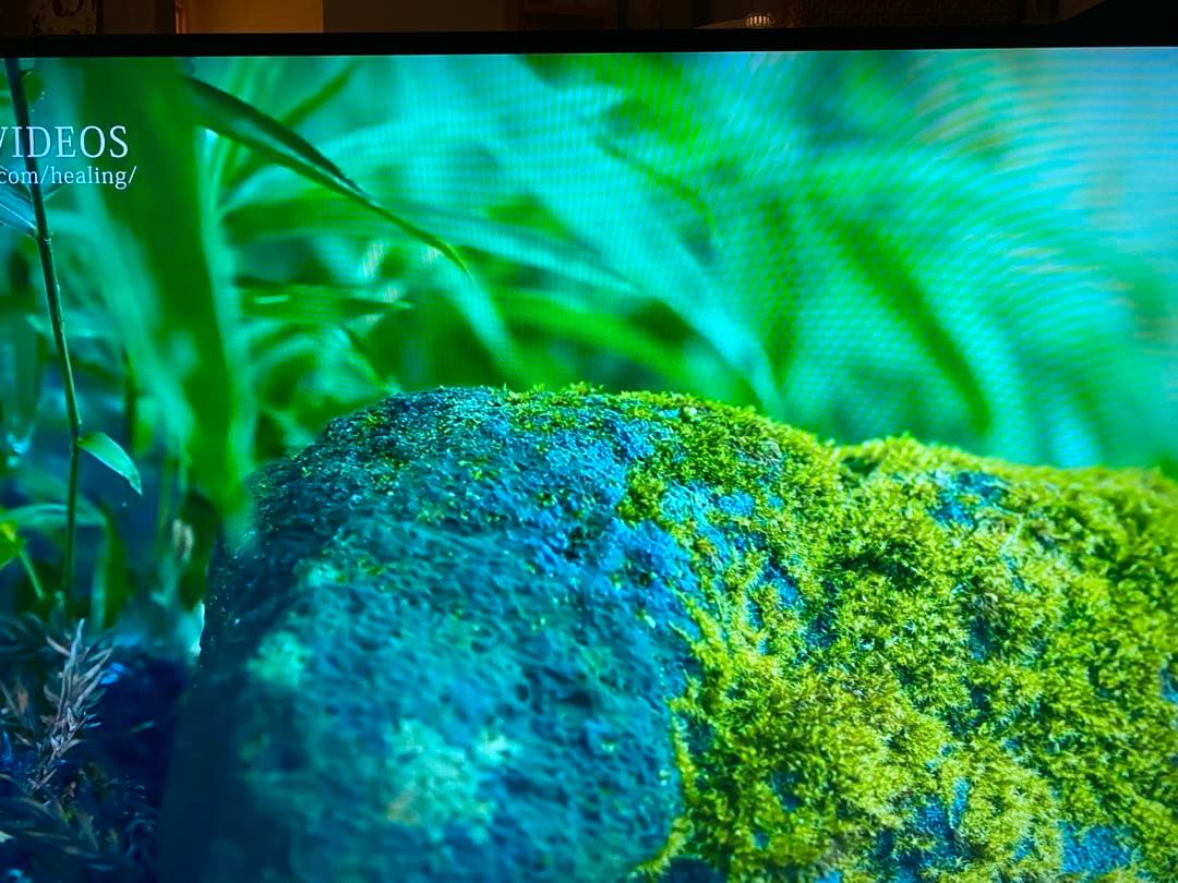 【金欠学生】BRAVIA KJ55X9300D ソニー55インチ4K