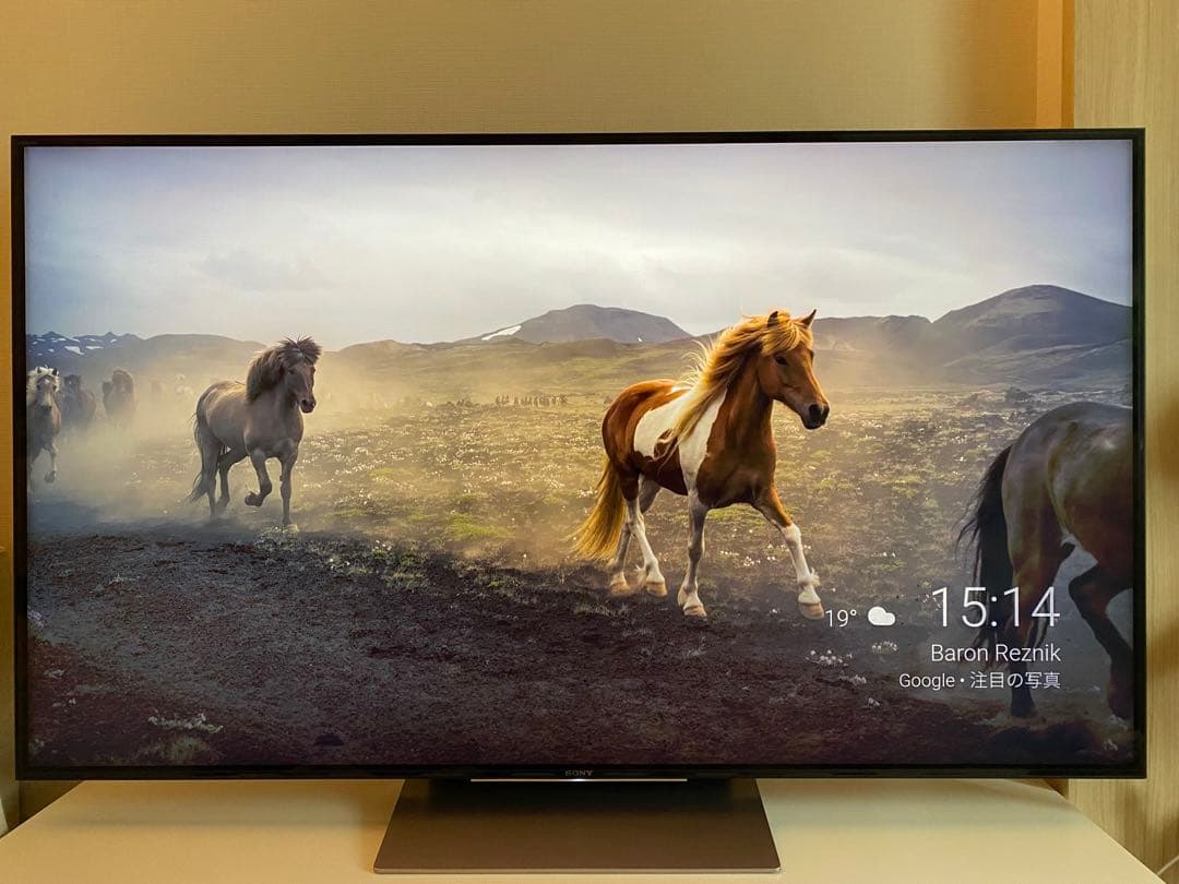 【金欠学生】BRAVIA KJ55X9300D ソニー55インチ4K