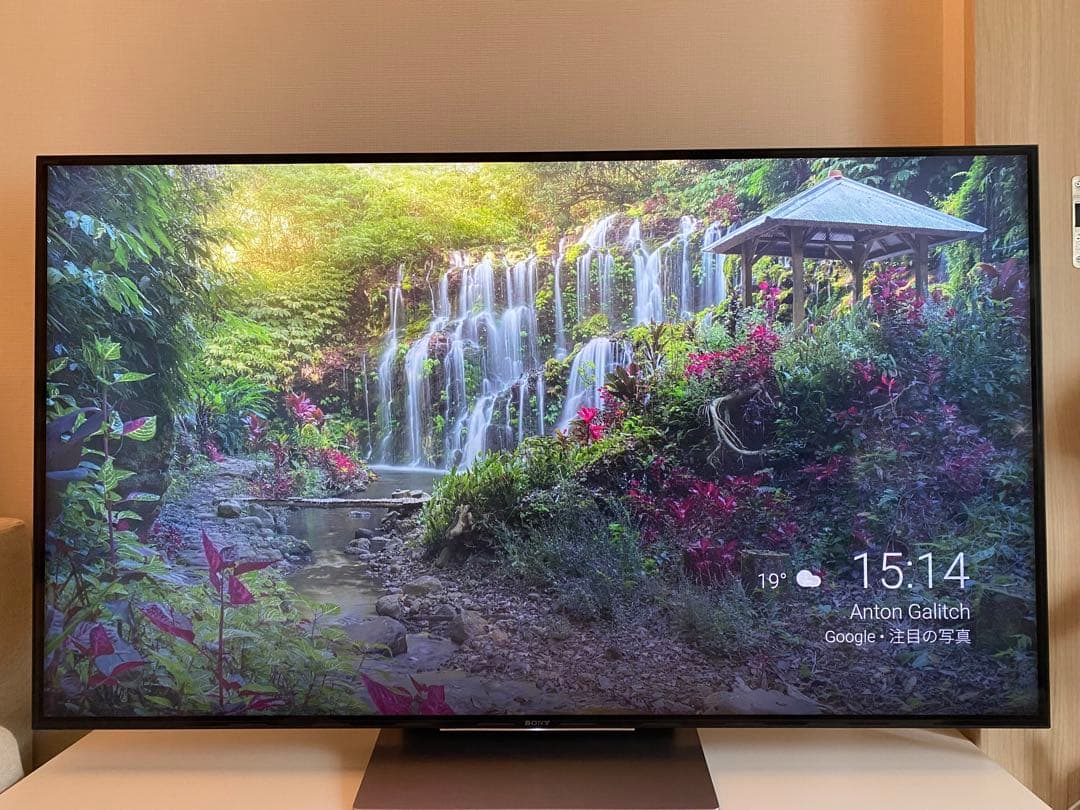 【金欠学生】BRAVIA KJ55X9300D ソニー55インチ4K