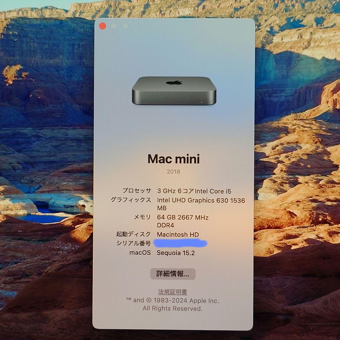 Mac mini メモリ64GB SSD1TB Core i5