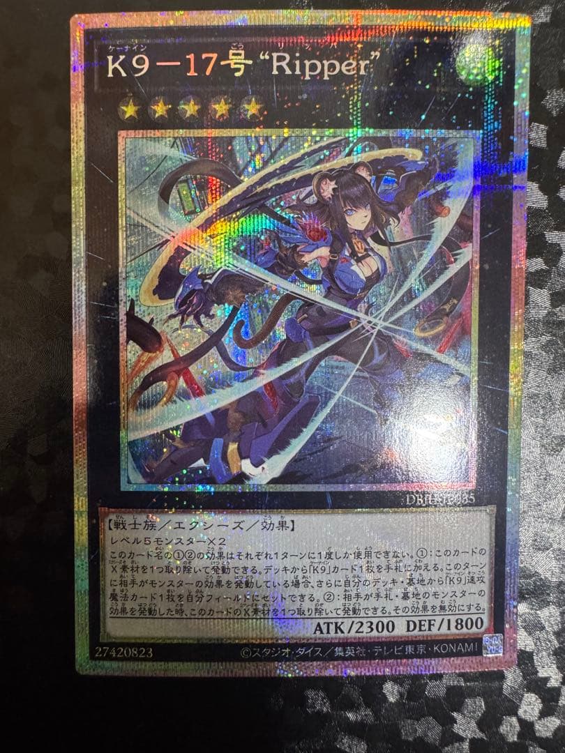 K9 17号 Ripper プリズマ