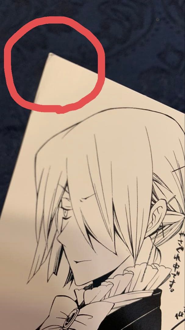 初版多数！Pandora Hearts 1〜22,24巻セット 特典付き