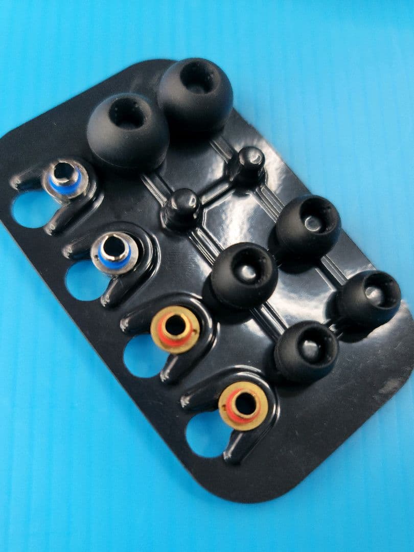 【Hi-Res】CLASS-S JVC HA-FD01 SOLIDEGE