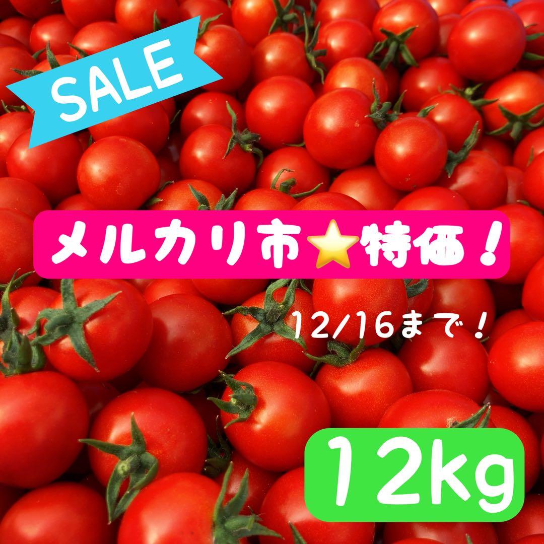 ⭐️SALE⭐️ミニトマト　12kg