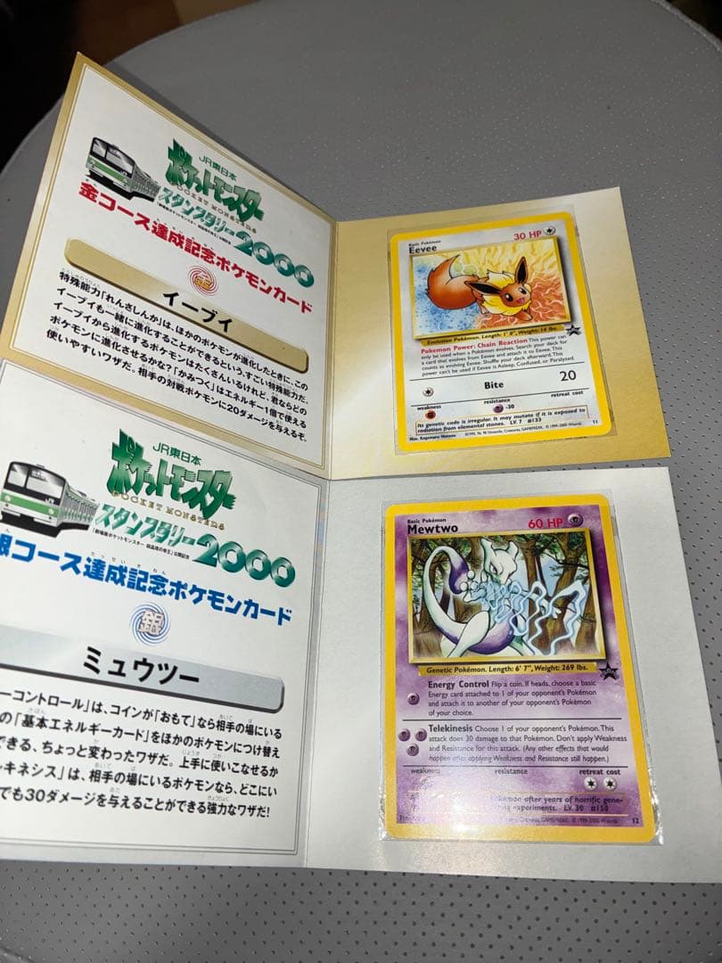 JR東日本 ポケモンスタンプラリー2000 達成記念カード 2枚セットパスケース