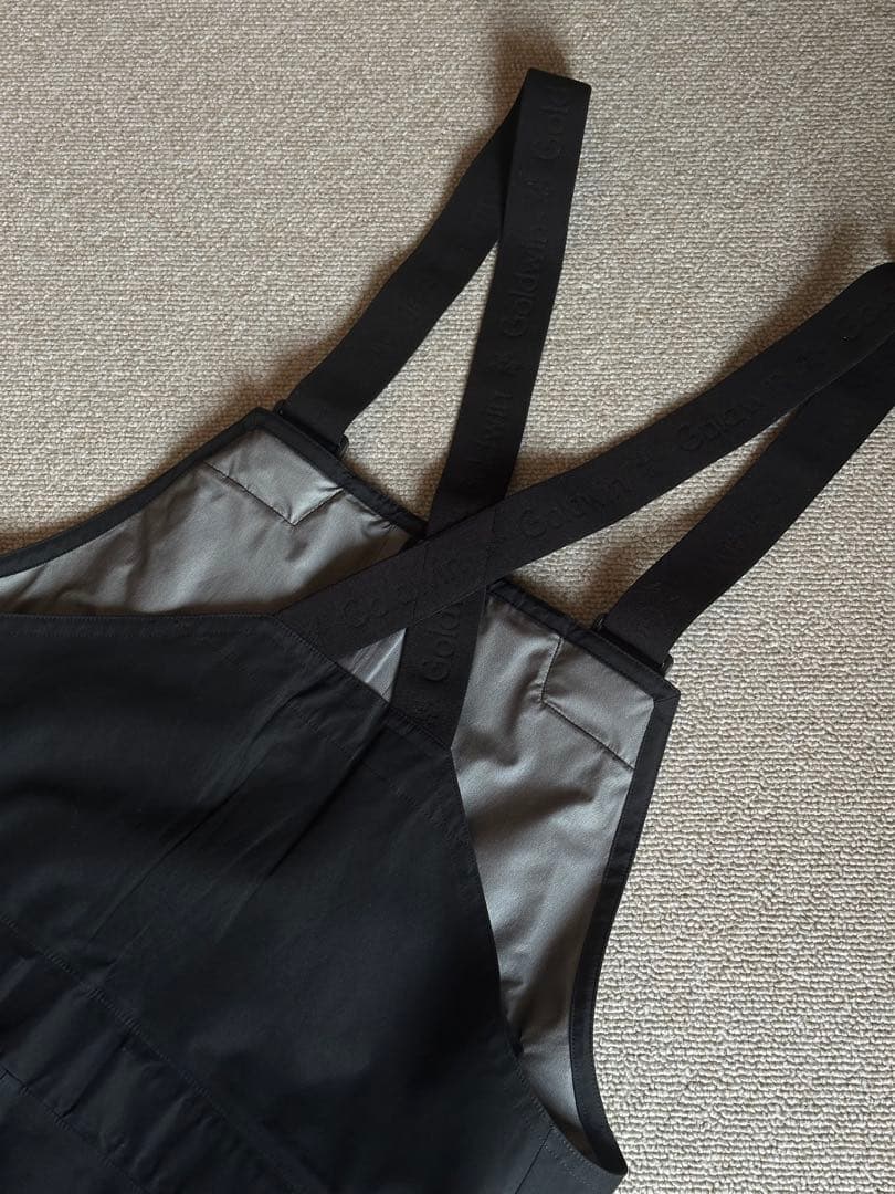 s*i様 美品ゴールドウィン Goldwin ゴアテックス 3L ビブ XL G