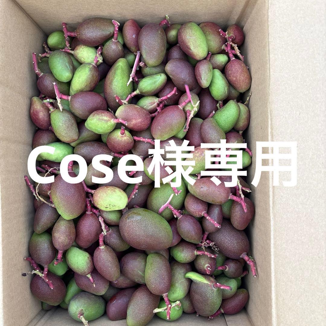 摘果マンゴー2/8❷