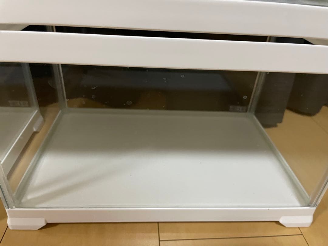 超美品3個セットGEX ジェックス エキゾテラ レプテリア ホワイト300Low