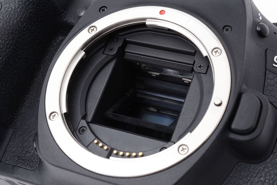 フルサイズ/Canon EOS 90D 標準&望遠&単焦点トリプルレンズセット