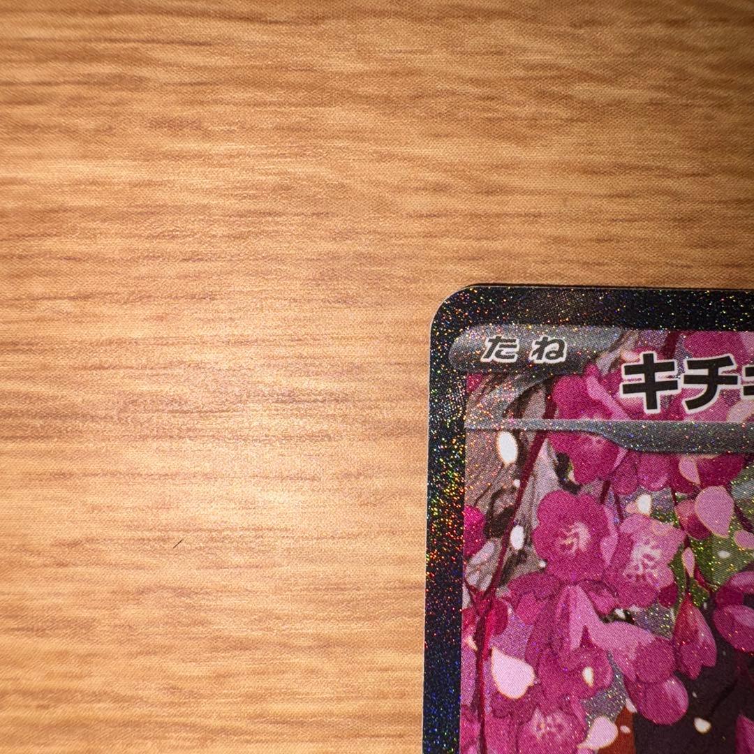 カナリィSAR 248/193 キチキギス SAR 244/193 2枚セット