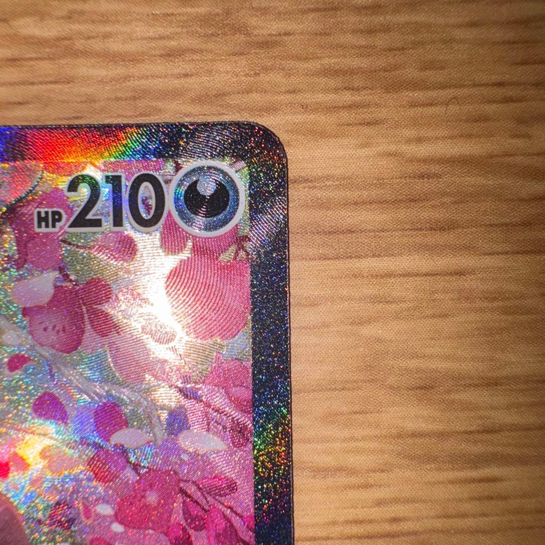 カナリィSAR 248/193 キチキギス SAR 244/193 2枚セット