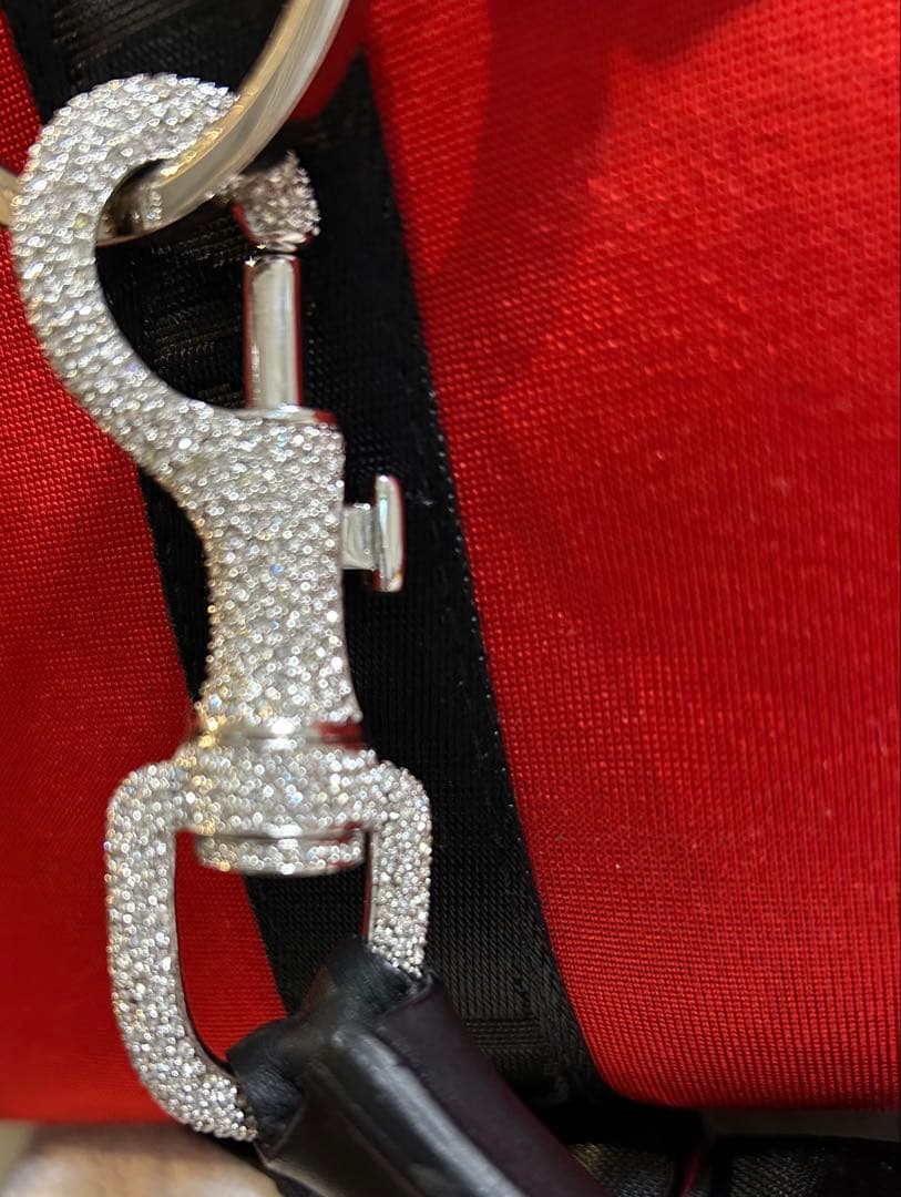 ゆ*ー様 クリスチャンディオール ハンドバッグ ショルダーバッグ 赤 ラインスト