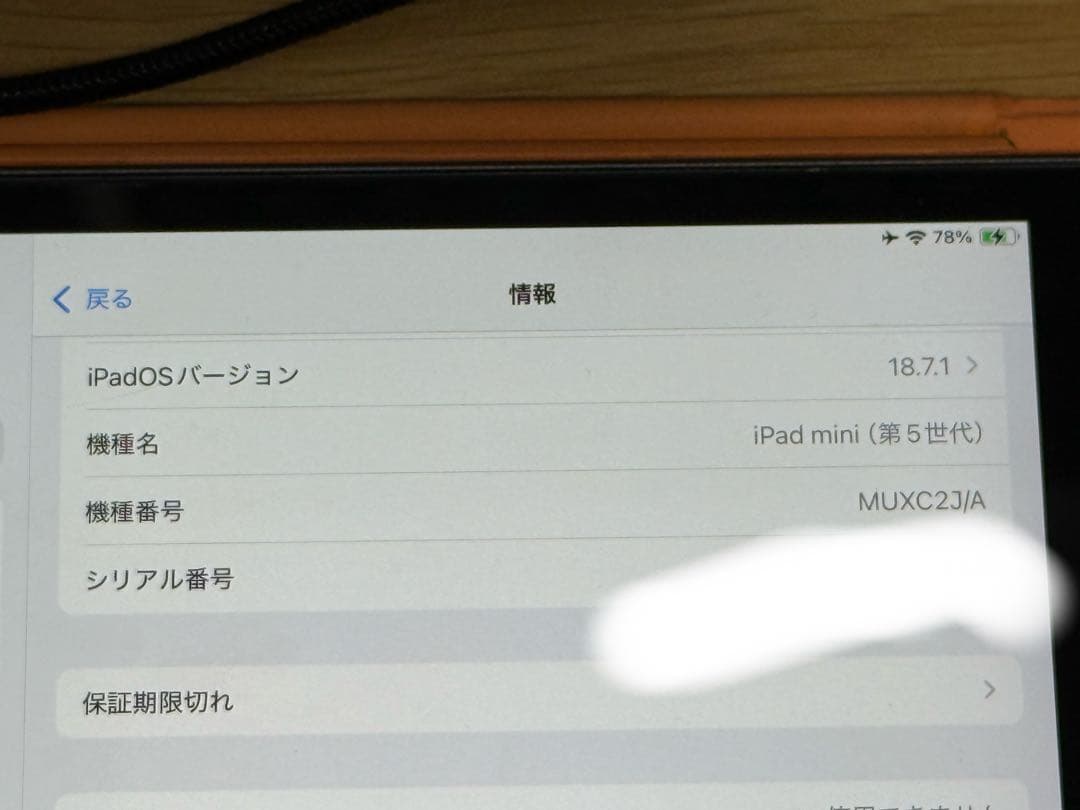 iPad mini 5 セルラー 256GB + Apple Pencil