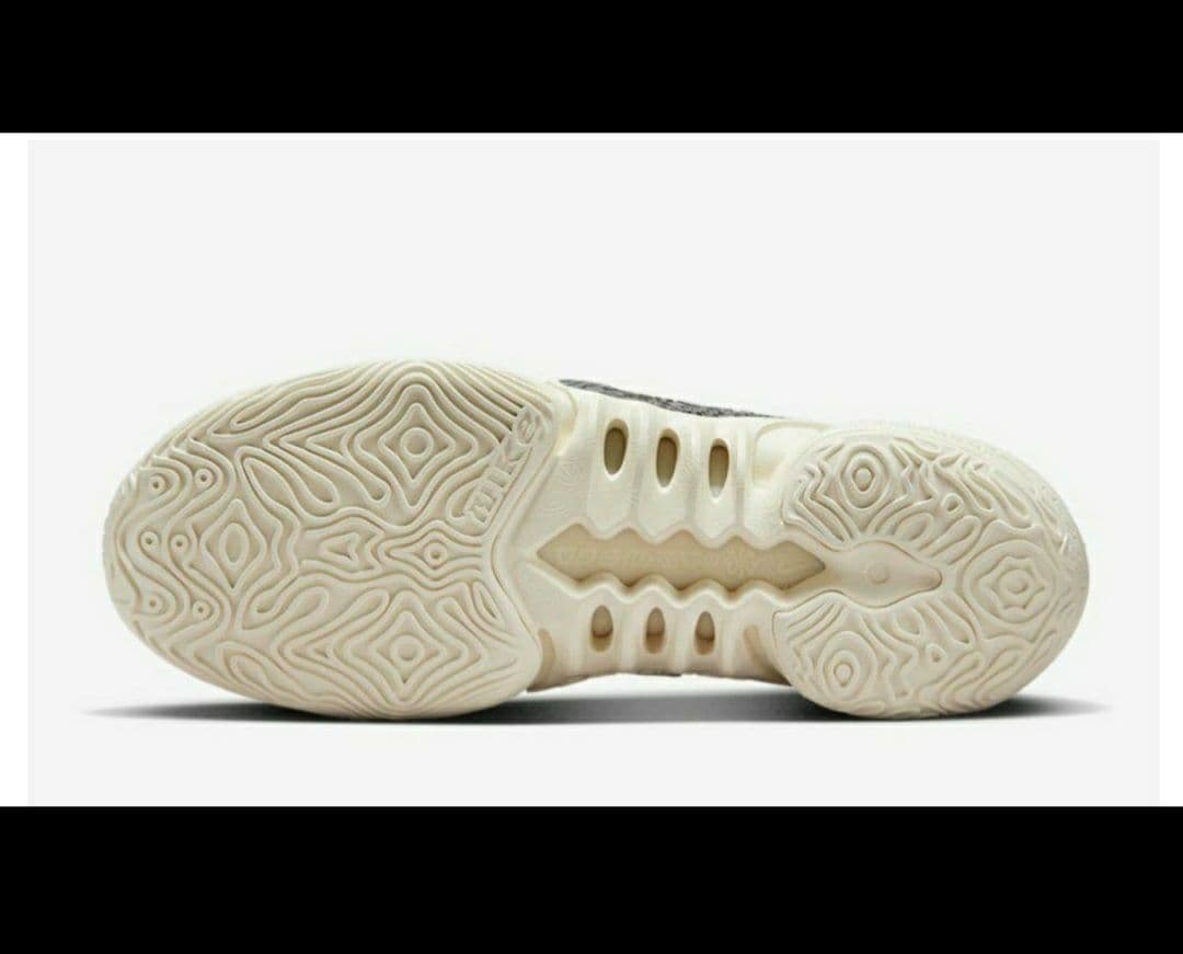 NIKE COSMIC UNITY 2 DH1537-002新品バスケ29.5