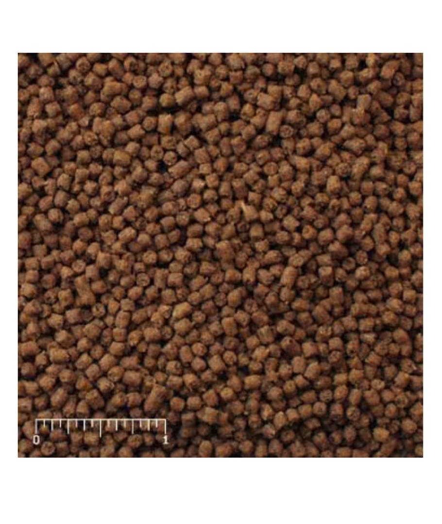 Mazuri チンチラ &インセクティボア11.34kg セット