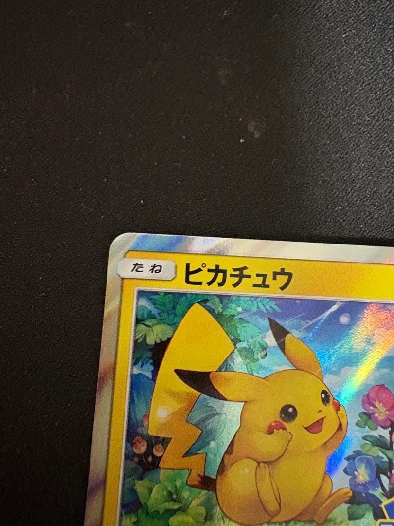 ピカチュウ PROMO SM-Pプロモカード 179/SM-P