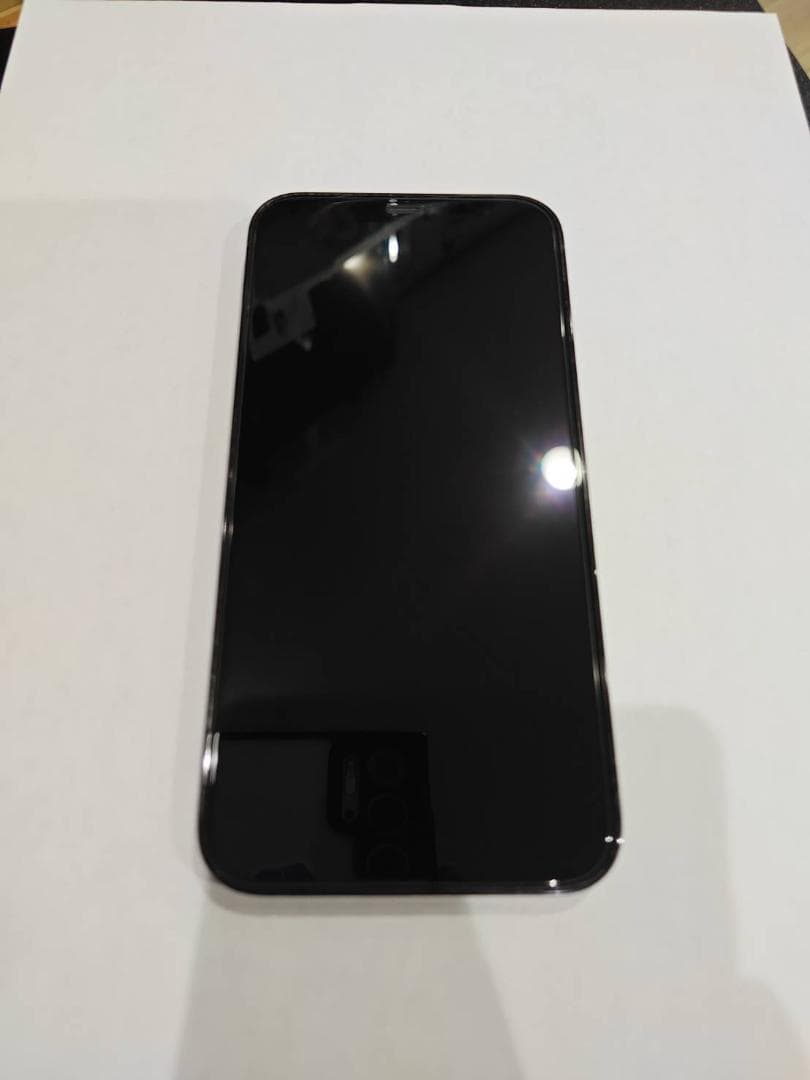 iPhone 12 Pro 256GB SIMフリー パシフィックブルー