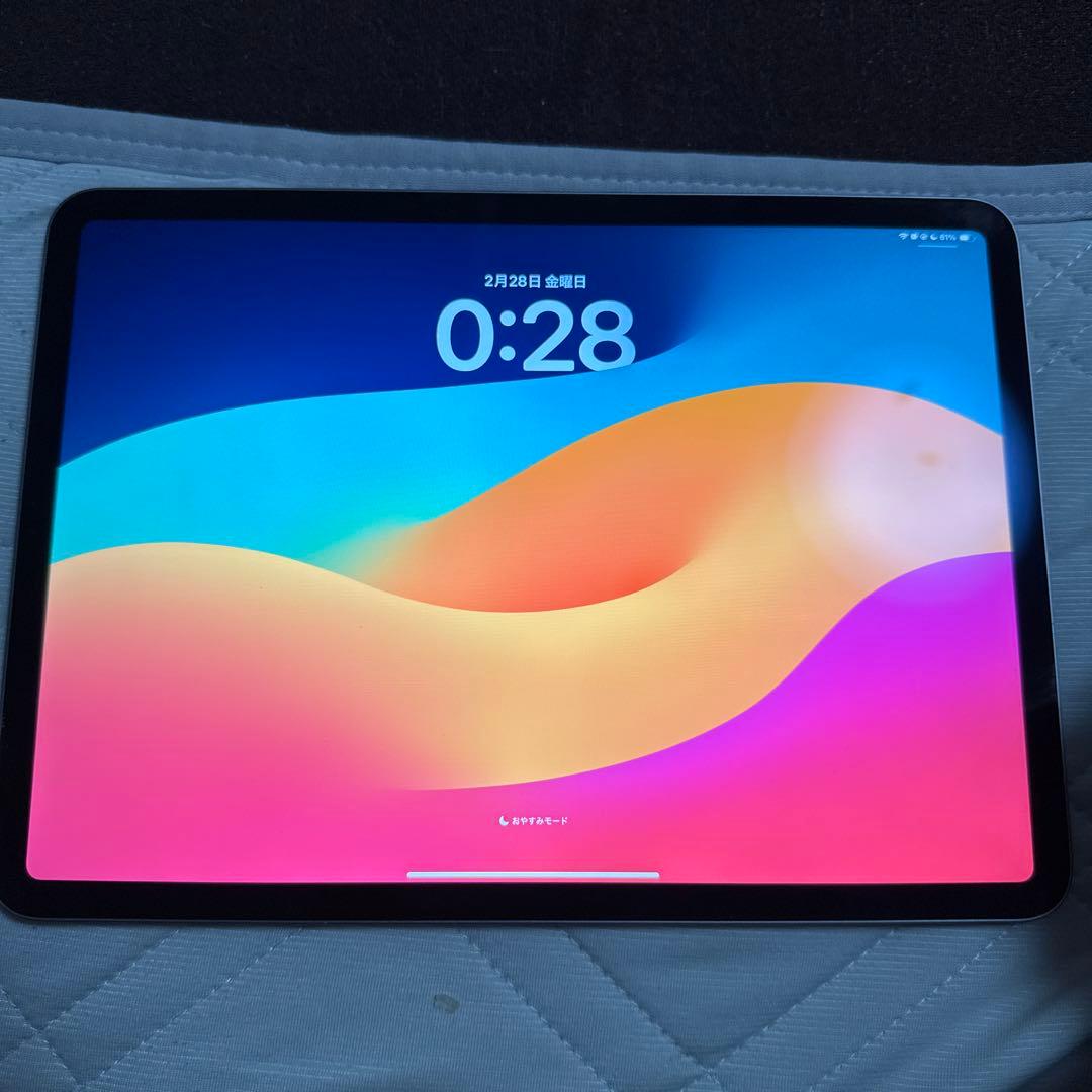 iPad Pro 11インチ (第4世代) WiFiモデル